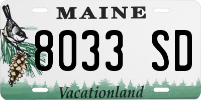 ME license plate 8033SD