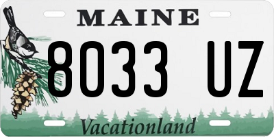 ME license plate 8033UZ