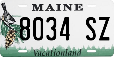 ME license plate 8034SZ