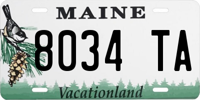 ME license plate 8034TA