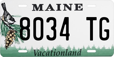 ME license plate 8034TG