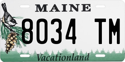 ME license plate 8034TM
