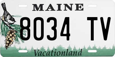 ME license plate 8034TV