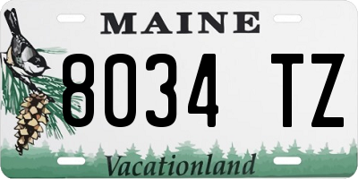 ME license plate 8034TZ