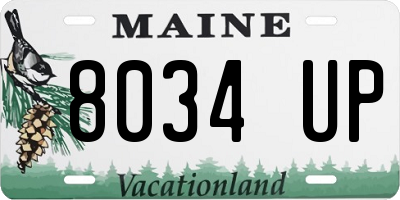 ME license plate 8034UP