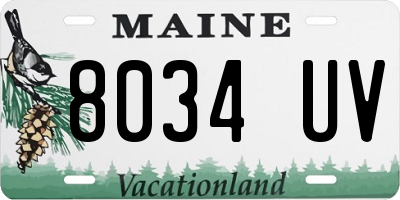 ME license plate 8034UV