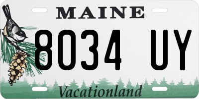 ME license plate 8034UY