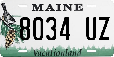 ME license plate 8034UZ