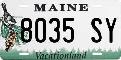 ME license plate 8035SY