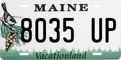 ME license plate 8035UP