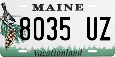ME license plate 8035UZ