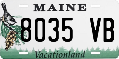 ME license plate 8035VB