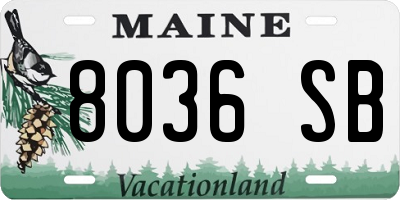 ME license plate 8036SB