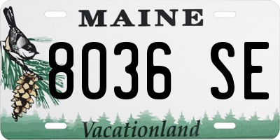 ME license plate 8036SE