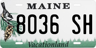 ME license plate 8036SH