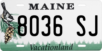 ME license plate 8036SJ