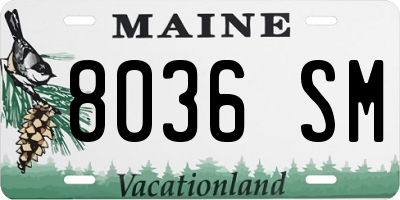 ME license plate 8036SM