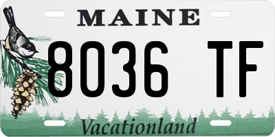 ME license plate 8036TF