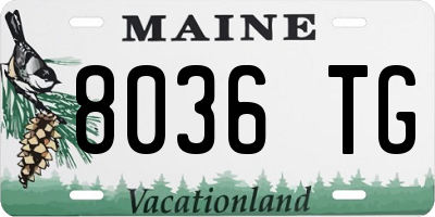 ME license plate 8036TG