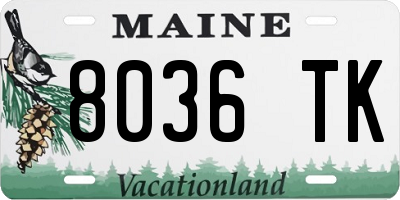 ME license plate 8036TK