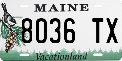 ME license plate 8036TX