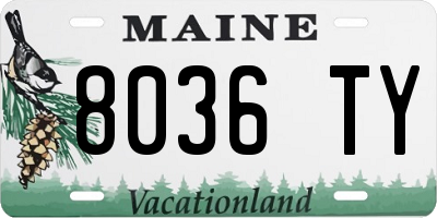 ME license plate 8036TY