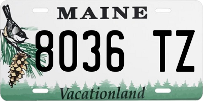 ME license plate 8036TZ