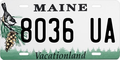 ME license plate 8036UA
