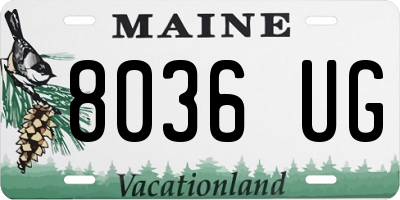 ME license plate 8036UG
