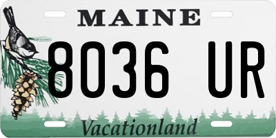 ME license plate 8036UR