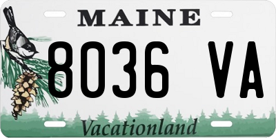 ME license plate 8036VA