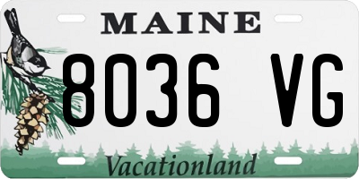 ME license plate 8036VG