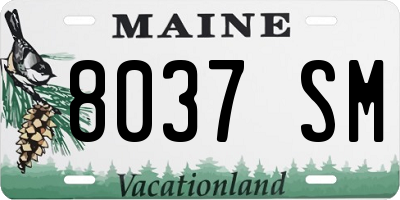 ME license plate 8037SM
