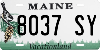 ME license plate 8037SY