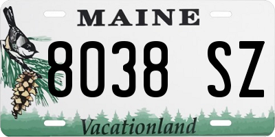 ME license plate 8038SZ