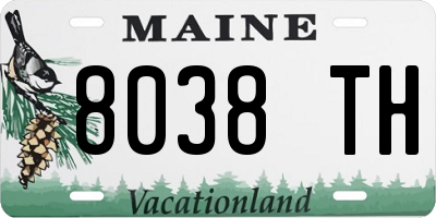 ME license plate 8038TH
