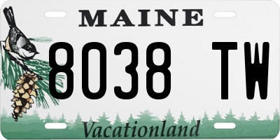 ME license plate 8038TW