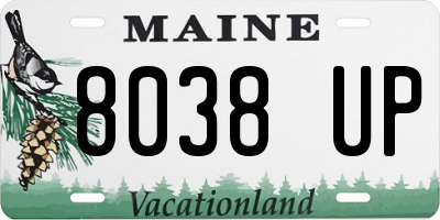ME license plate 8038UP