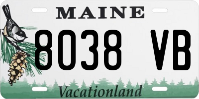 ME license plate 8038VB