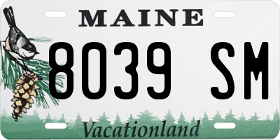 ME license plate 8039SM