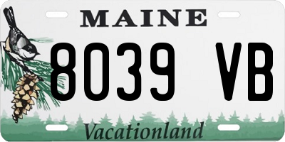 ME license plate 8039VB