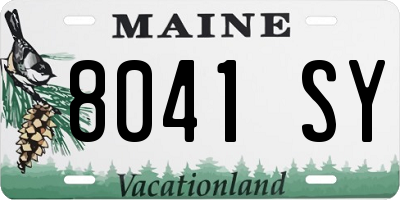 ME license plate 8041SY