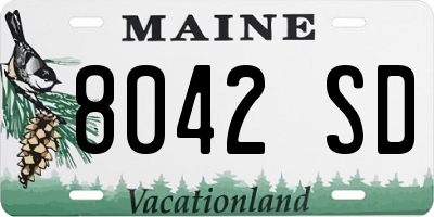ME license plate 8042SD