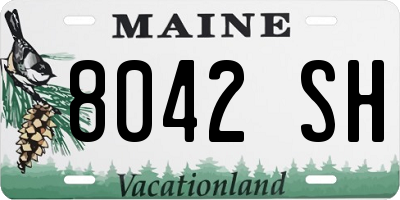 ME license plate 8042SH