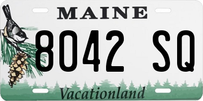 ME license plate 8042SQ