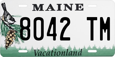 ME license plate 8042TM