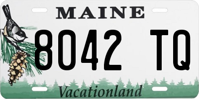 ME license plate 8042TQ