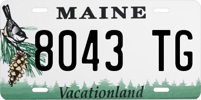ME license plate 8043TG