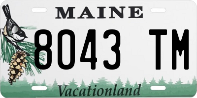 ME license plate 8043TM