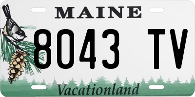 ME license plate 8043TV